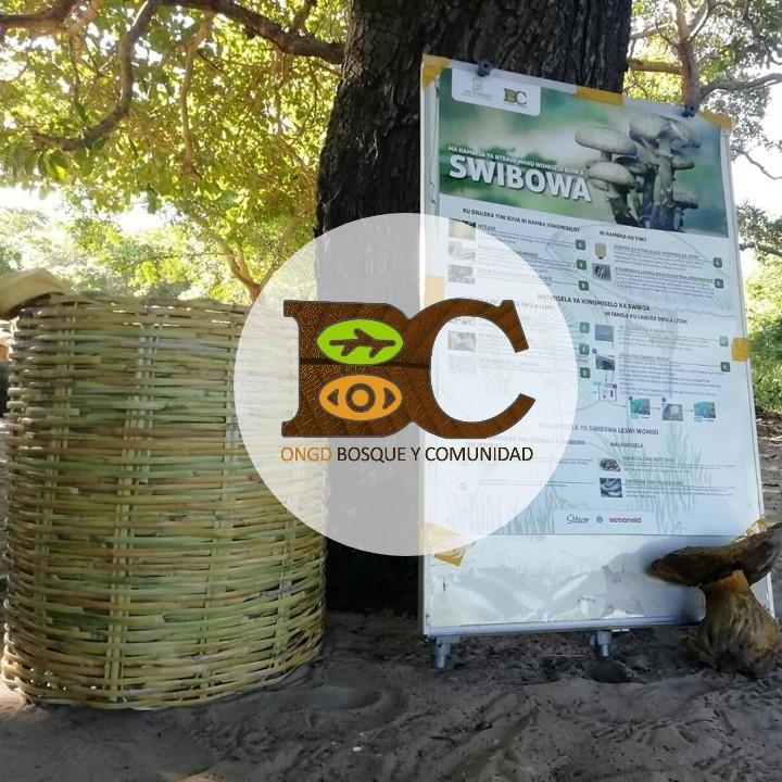 Bosque y Comunidad en el programa «Más de Uno Solidarios»